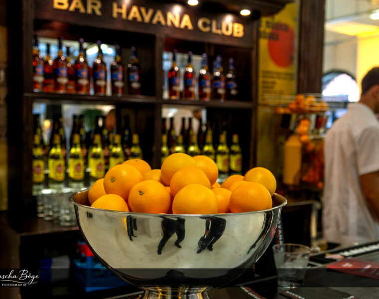 sascha böge fotos 1088